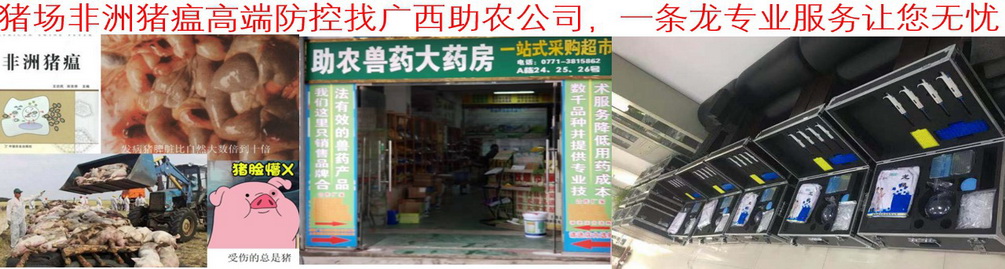 豬場(chǎng)非洲豬瘟高端防控找廣西助農(nóng)公司，一條龍專(zhuān)業(yè)服務(wù)讓您無(wú)憂