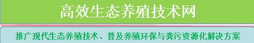 高效生態(tài)養(yǎng)殖技術(shù)網(wǎng)