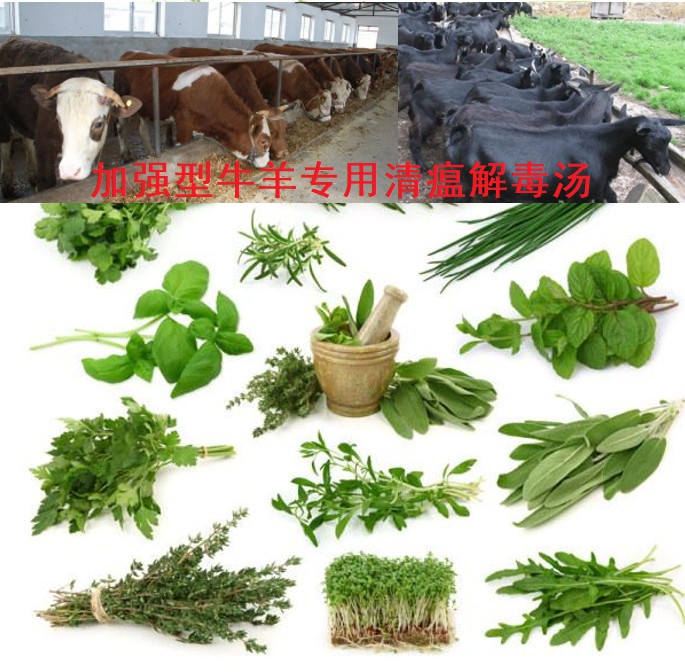 加強(qiáng)型牛羊?qū)Ｓ们逦两舛緶?6味原生中草藥公開(kāi)組方，牛羊養(yǎng)殖場(chǎng)常備無(wú)憂