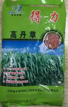 得力高丹草---“養(yǎng)魚(yú)青飼料之王”，具有產(chǎn)量高、葉量豐富、適應(yīng)性廣、營(yíng)養(yǎng)豐富、生長(zhǎng)速度快、多次刈割、利用率高