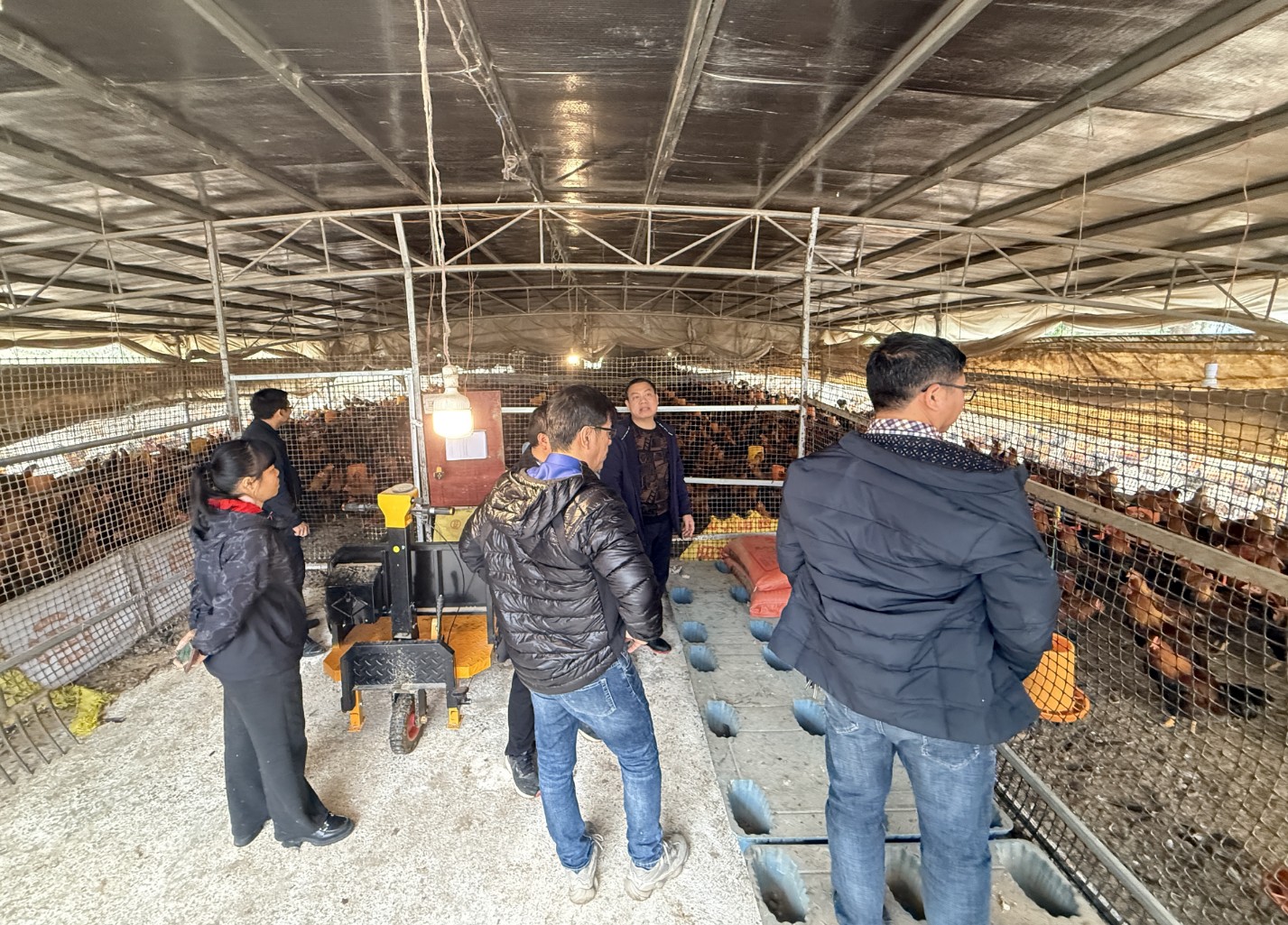 金陵農(nóng)牧集團前來調(diào)研5.jpg 金陵農(nóng)牧集團前來調(diào)研5.jpg