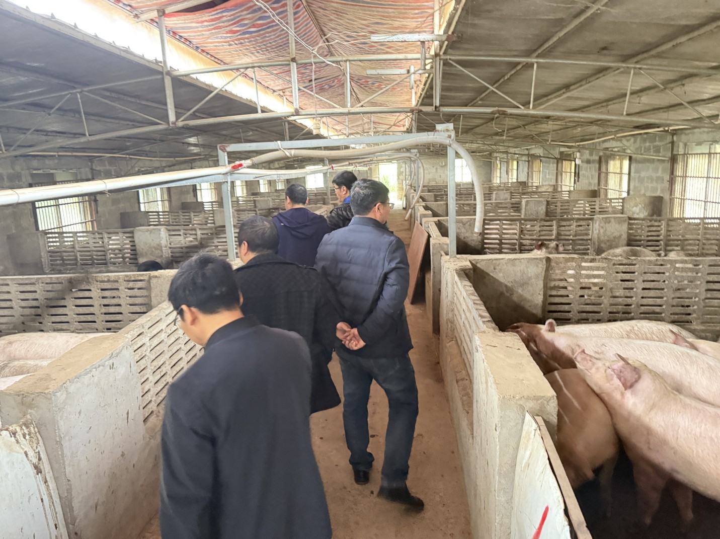 金陵農(nóng)牧集團前來調(diào)研6.jpg 金陵農(nóng)牧集團前來調(diào)研6.jpg